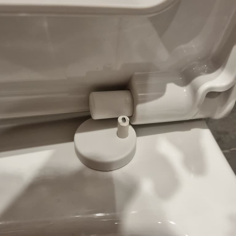 Vitra Klozet Kapağı Sorunu