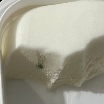 Algida Maraş Usulü Dondurma Da Böcek