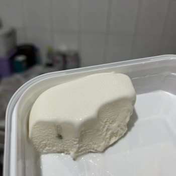 Algida Maraş Usulü Dondurma Da Böcek