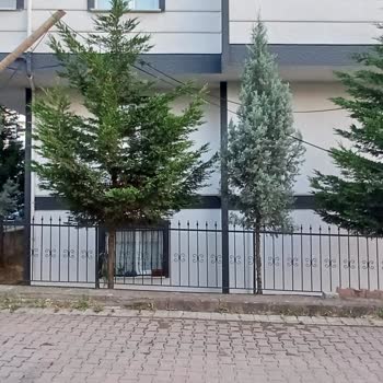 Türk Telekom İnsanların Hayatını Hiçe Sayıyor