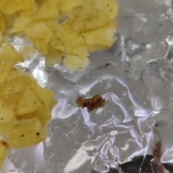 Lays İnsan Sağlığı İle Oynuyor