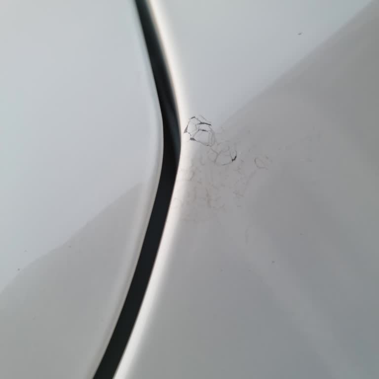 Fiat 2023 Model Fiat Egea Araçta Boya Çatlağı!