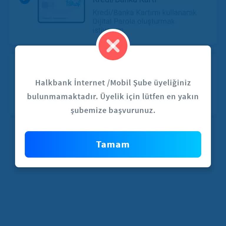 Halkbank Mobil Bankacılık Giriş Yapamıyorum