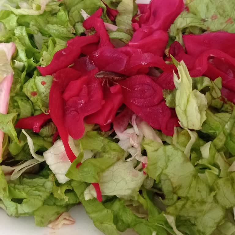 Gülen Pide (Esenyurt) Pis Ve Denetlenmeyen Lahmacun Salonu