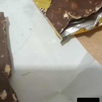 Ülker ÜLKE'DE Kurtçuk Vakası