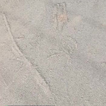 Tvs Motor İlgisizlik, Alakasızlık, İnsanlara Düzgün Davranmama!