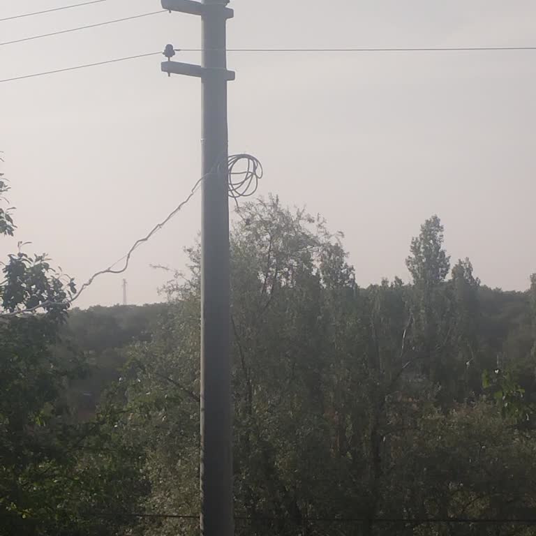 Zorlu Enerji Muhtarlık Elektrik Aboneliği Sorunu: İlgisizlik Ve Gecikmeler