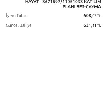Anadolu Hayat Emeklilik Otomatik Katılım BES Eksik Para Sorunu