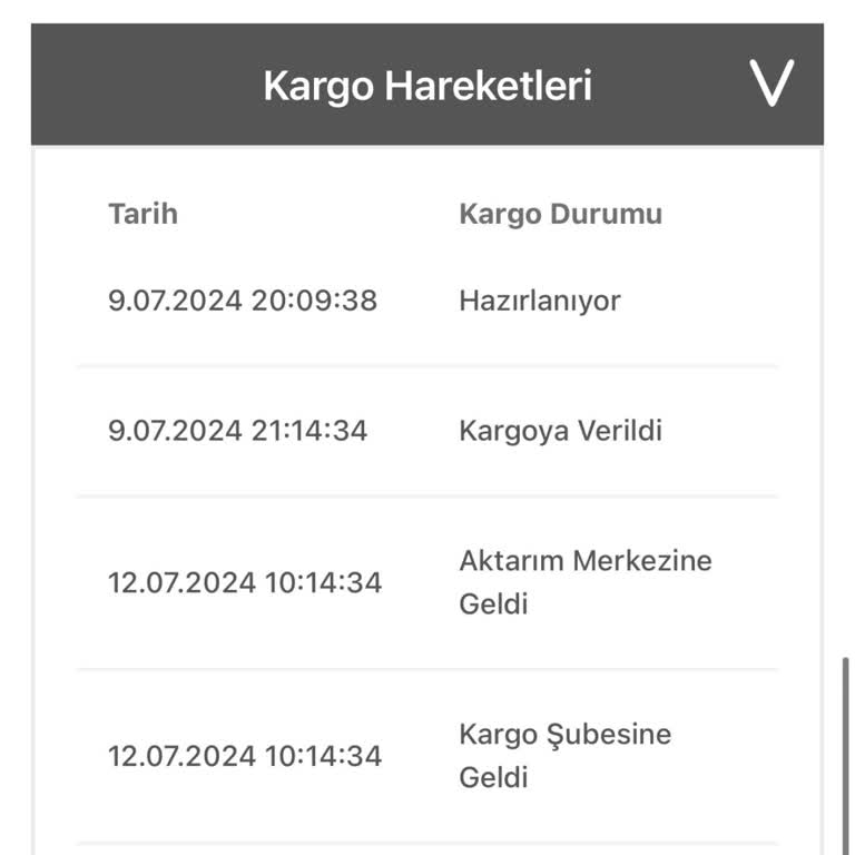 Bir Günde Kargo Kargomu Teslim Etmiyor