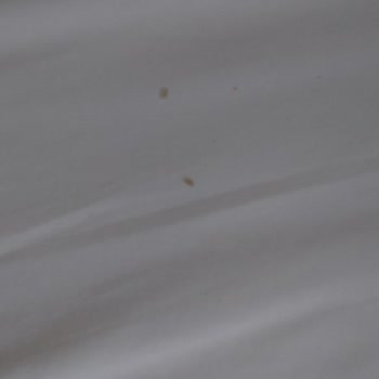 Aqua Fantasy Kusadasi Büyük Hayal Kırıklığı