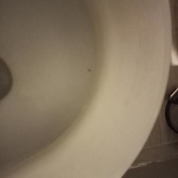 Çınar Hotel (Ayvalık) Çınar Otelin Banyosu