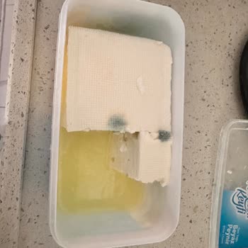 Pınar Et ve Süt Beyaz Peynirin Erken Bozulması