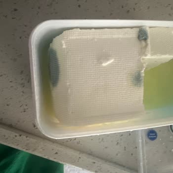 Pınar Et ve Süt Beyaz Peynirin Erken Bozulması