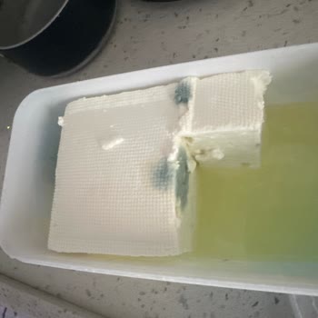 Pınar Et ve Süt Beyaz Peynirin Erken Bozulması