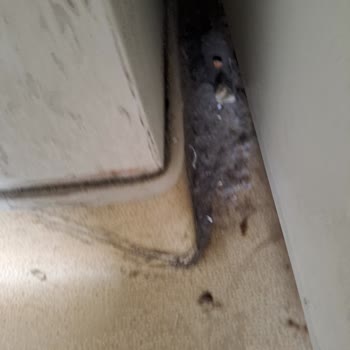 Zeynep Kamil Kadın Ve Çocuk Hastalıkları Hastanesi  Bakımsız Buna El Atılması Lazım