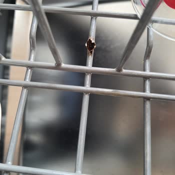 Bosch Silince Plus Seri 6 Bulaşık Makinesi Sepeti Paslanması