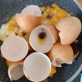 Kozlu Gıda Kozlu-Yumurta'nın Kolisinden Bozuk Yumurtalar Çıkıyor.