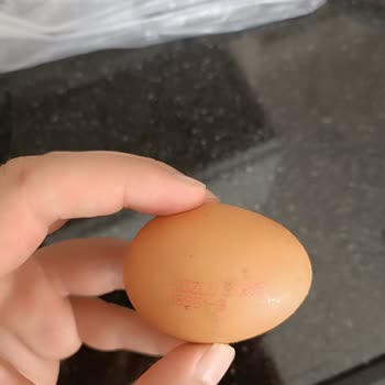 Kozlu Gıda Kozlu-Yumurta'nın Kolisinden Bozuk Yumurtalar Çıkıyor.