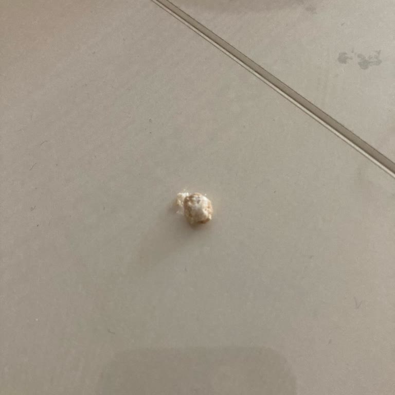 OMO Da Bilinmeyen Cisim Çıktı