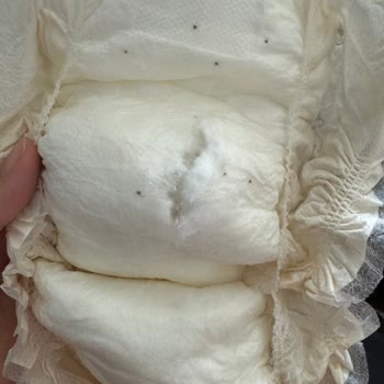 Sleepy Ecologic Yırtık Çıktı