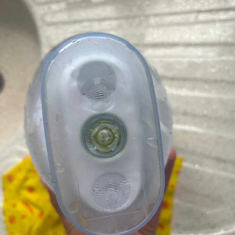 Brita Sürahi Yosunlaşma Sorunu