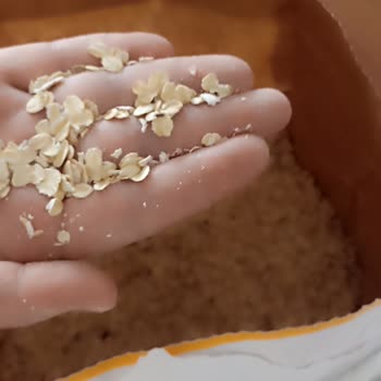 Kappadokia 5KG Yulaf Ezmesinin İçinden Böcekler Çıktı.