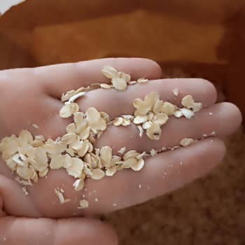Kappadokia 5KG Yulaf Ezmesinin İçinden Böcekler Çıktı.