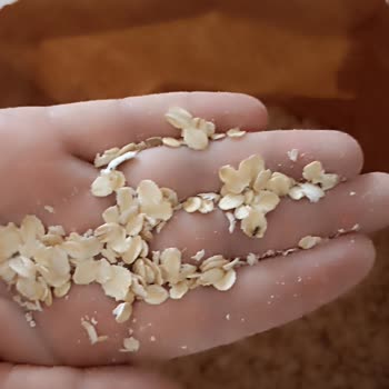 Kappadokia 5KG Yulaf Ezmesinin İçinden Böcekler Çıktı.