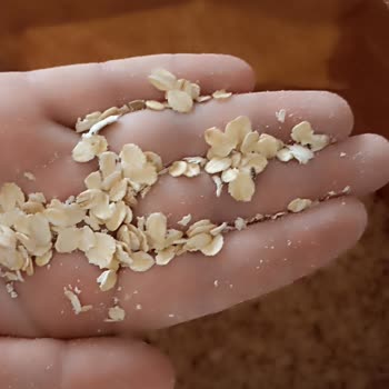 Kappadokia 5KG Yulaf Ezmesinin İçinden Böcekler Çıktı.