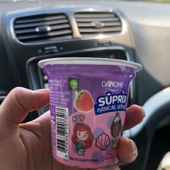 Danone Tikveşli Yoğurtta Sinek Şoku, Kızımın Sağlığı Tehlikede!