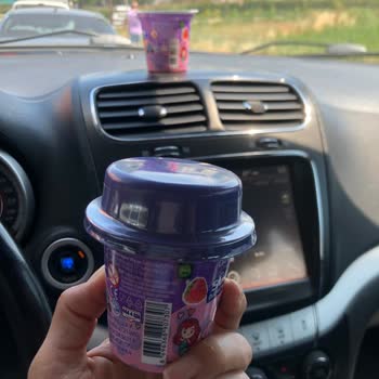 Danone Tikveşli Yoğurtta Sinek Şoku, Kızımın Sağlığı Tehlikede!