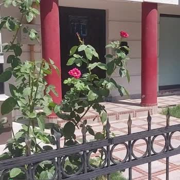Gdz Elektrik Dağıtım İşinizi Doğru Yapın!