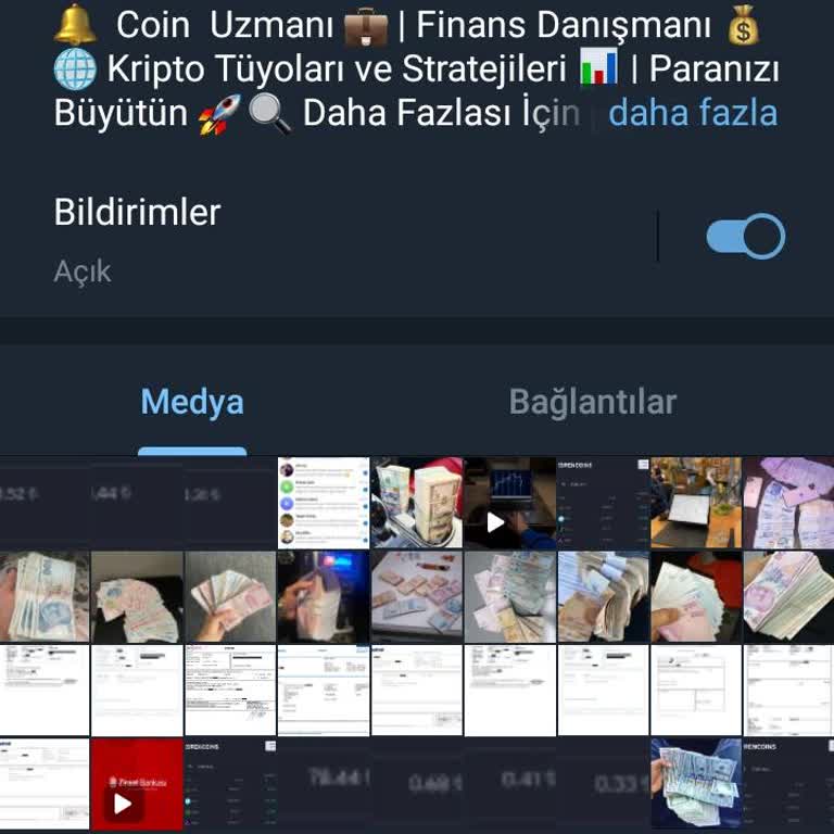 Telegram Grubu Bir Borsa Sitesinden Kazandığını Gösteriyor