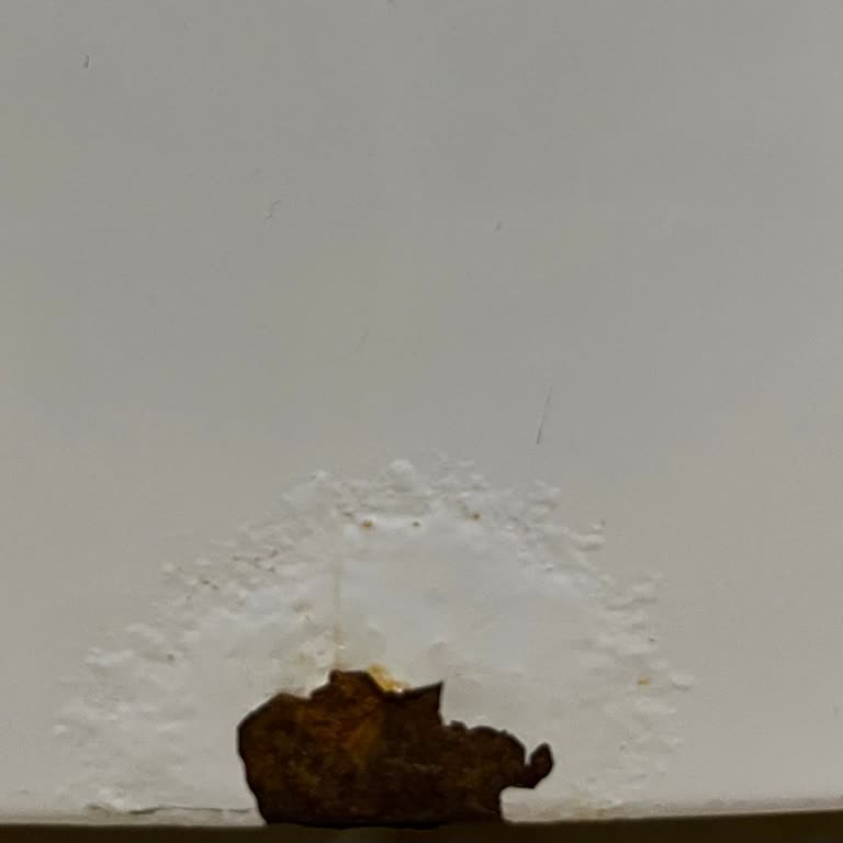 Grundig Çamaşır Makinesi Mağduriyeti