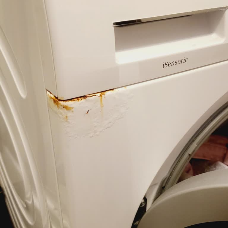 Siemens Çamaşır Makinesi 2 Yıl İçinde Paslandı