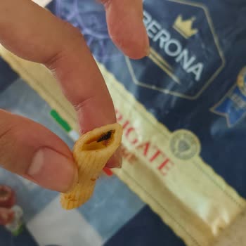 A101 Berona Makarna Böcek Şikayeti