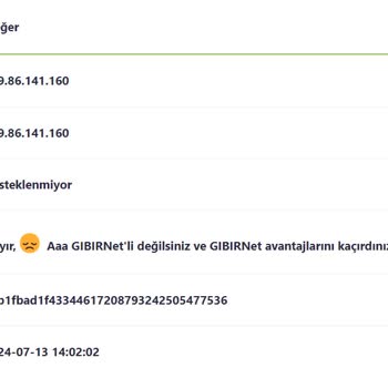 Gıbırnet Yurt Dışı IP Atanması