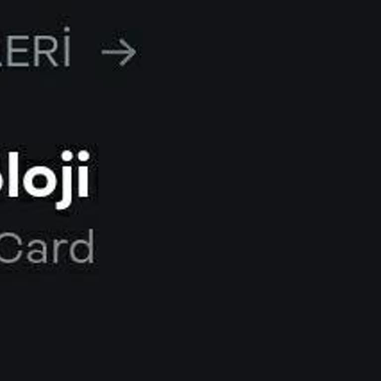 Hesap Sarayı'ndan Aldığım Hesap İletilmiyor