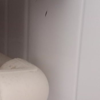 Taşpınar Alışveriş Merkezleri Yasal İade Hakkım Engelleniyor