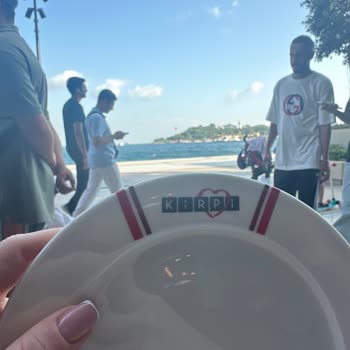 Kirpi Cafe Rahatsız Edici Hareketler.