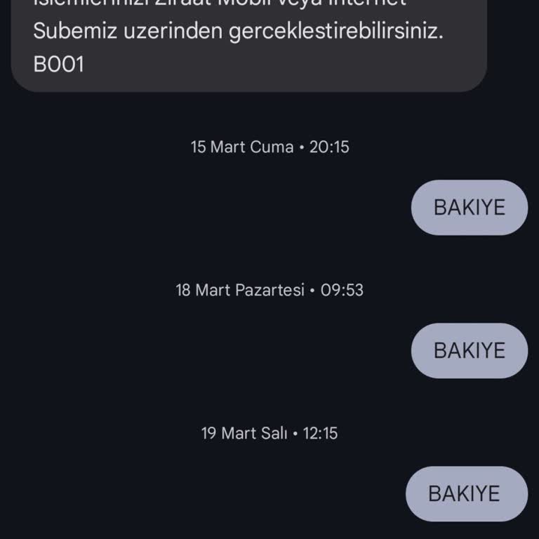Ziraat Bankası 4747 Bakiye Sorgulama