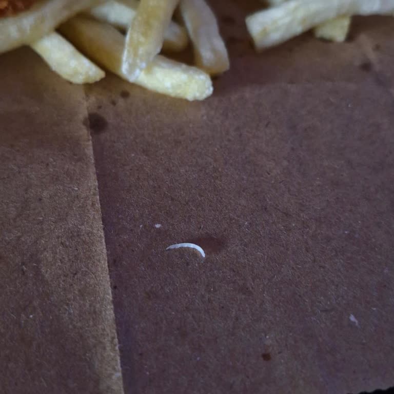 Saloon Burger İlgisizliği. Mağduriyetimin Giderilmesini İstiyorum.