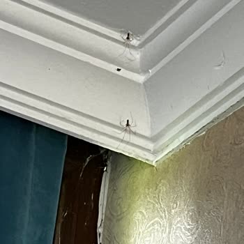 Jolly Tur İlgisizliği/Yaşananların Telafi Edilmemesi