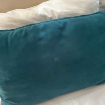 Jolly Tur İlgisizliği/Yaşananların Telafi Edilmemesi