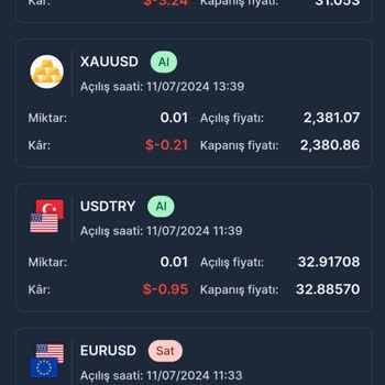 Excel Yatırım Yatırım Danışmanlığı Hizmetlerinde Yaşanan Sorunlar