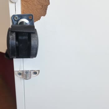 İş Bilmez Ankara Canlar Nakliyat