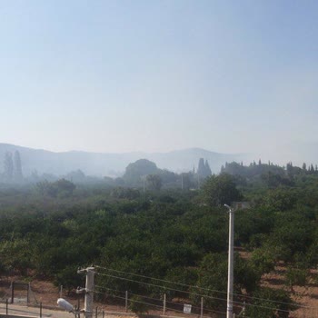 Seferihisar Belediyesi Ürkmez'de Çöp Yangını!