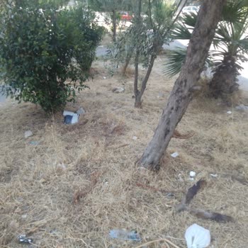 Buca Belediyesi Yıldız Mahallesi Çöp İçinde... Acil Yardım Bekliyorum!