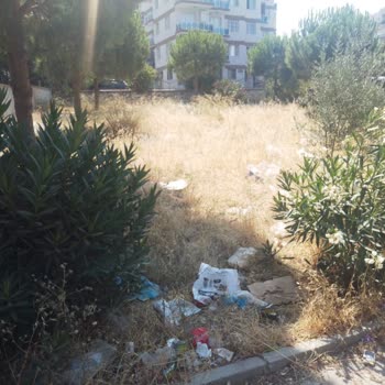 Buca Belediyesi Yıldız Mahallesi Çöp İçinde... Acil Yardım Bekliyorum!