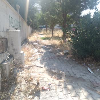 Buca Belediyesi Yıldız Mahallesi Çöp İçinde... Acil Yardım Bekliyorum!